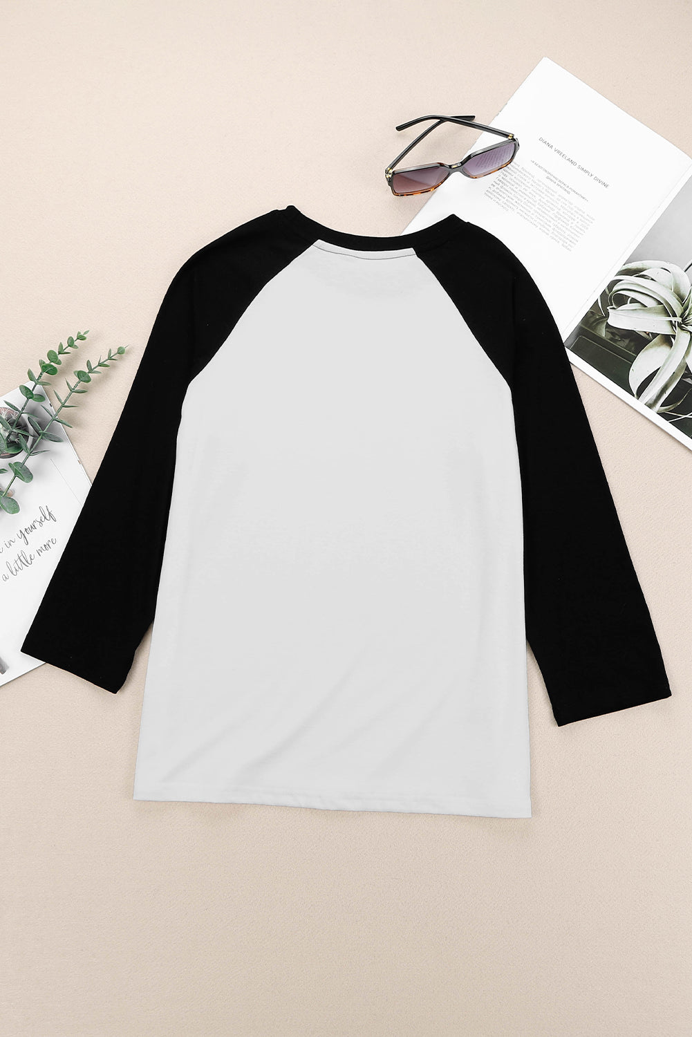 Black Color Block Raglan Sleeve Pullover Top